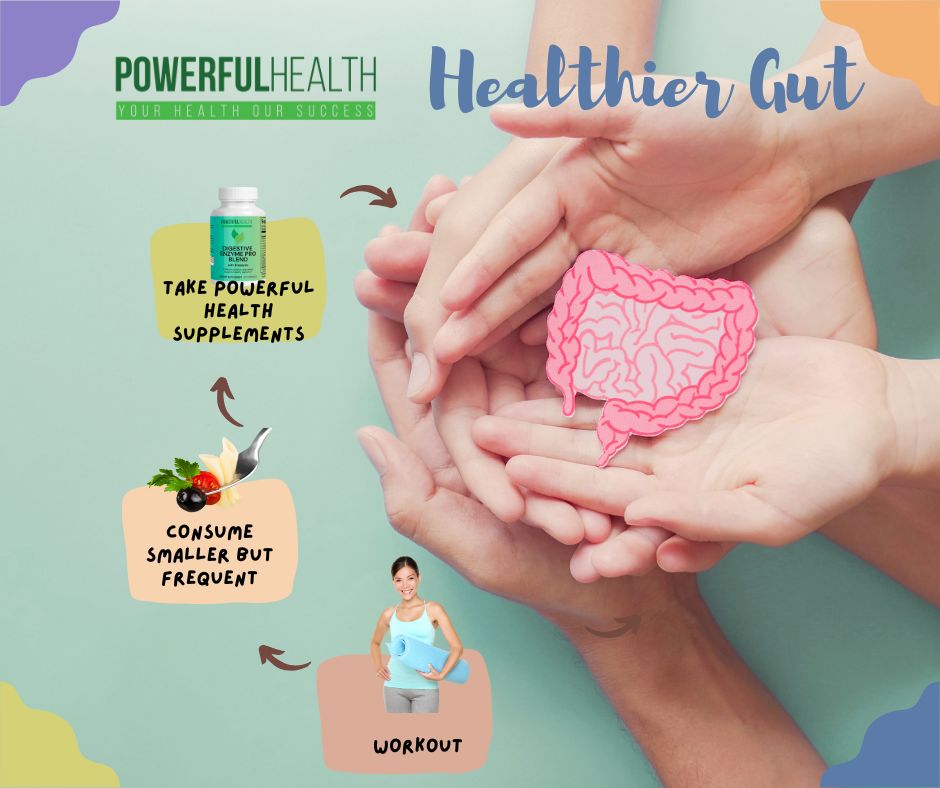 Digestive Support Supplements