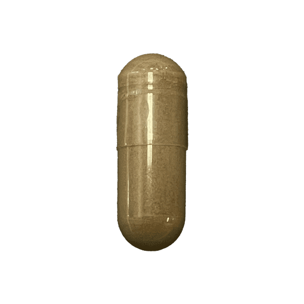 Resveratrol